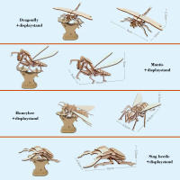 Puzzle De Madera DIY Para Niños Insectos Encantadores Buitres Libélula Mariposa Mantis Kit De Artesanía De Madera Para Jardín De Infantes - details 5