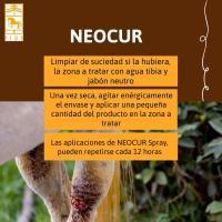 NEOCUR Spray afecciones cutáneas para Caballos de Laboratorios Pino. - details 1