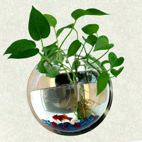 Acuario De Acrílico Para Decoración De Hogar Y Oficina Tanque De Peces Goldfish Montado En La Pared Forma De Florero Tamaño 15/23CM - details 7