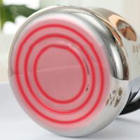 Hervidor De Agua De Acero Inoxidable Con Silbido Gran Capacidad Kettle Para Estufa De Gas Y Inducción Base Calefactor Rápido - details 10
