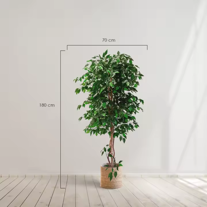 Planta artificial MAIA SHOP Ficus  Artificial árbol. Decoración hogar. Decoración oficina, hoteles, eventos, bodas. Disponible en varios tamaños: Altura de 105 cm, 150 cm, 180 cm y 190 cm - 1