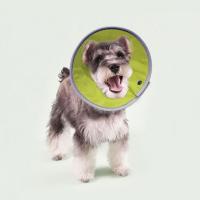 Collar De Cono Para Gatos Anti-Mordedura Ajustable Y Resistente Al Agua Con Fácil Comida Y Beber Para Recuperación De Heridas - details 16
