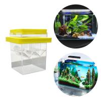 Caja De Cría Y Aislamiento Para Peces Acuario Incubador De Recién Nacidos Accesorio De Repositorio De Alimentos Para Acuario - details 7
