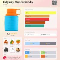 **Perfume Árabe 100% Original ARMAF Odyssey Mandarin Sky EDP 100ml Amaderado Cítrico para Hombre** - details 3