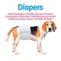 Pañales para Perros Machos Razas Medianas con Cinturón 40-60 cm, Arquivet, 12 unidades, Absorción Superior para Mayor Comodidad - details 4