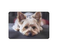 VIKAMA Alfombra De Piso De Cristal Con Dibujos De Animales Lindos Resistente a La Suciedad Y Resbaladizo Alfombra De Pies Lavable Para Entrada Baño Cocina - details 3