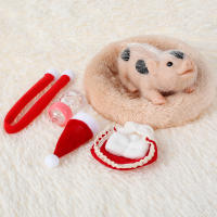 Juguete De Cerditos Mini Set De Muñecos De Silicona Accesorio De Cerdita Reborn Lindo Y Realista Para Recién Nacidos Regalo Para Niños - details 5