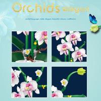 Juego De Construcción De Bloques De Orquídea En Maceta Juguete Educativo De Puzle Creativo Para Decoración De Escritorio Regalo Único Para Niños - details 1