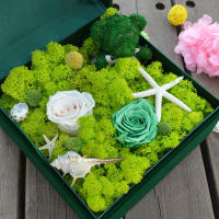 Plantas Artificiales Verdes 40g Vida Eterna Mostrador De Hierba Para Decoración De Hogar Sala De Estar Jardín Mini Paisaje Flores Falsas Para DIY Y Exposiciones - details 2