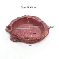 Tazón De Alimentación Para Reptiles Y Tortugas De Resina 10cm Olla De Alimentos Y Agua Para Acuarios Suministros Para Lagartos Y Scorpiones - details 10