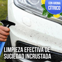 Eliminador de Insectos para Coches y Motos LIONSWAY - Limpieza Potente y Segura para Tu Vehículo - details 0