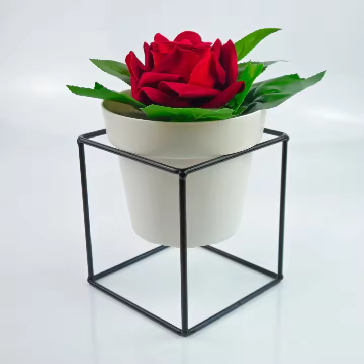 Nicoli Arké Up Stand + jarrón Blanco con Rosa de terciopelo - 1