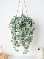 Eucalipto Rattan Plantas Artificiales Vine Hoja Verde Seda Ivy Colgante Para Decoración De Hogar Boda Fiesta En La Pared - details 0