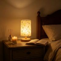 Lámpara De Escritorio Pequeña Con Luz Cálida Monocromática Y Encendido USB Iluminación Decorativa Para Dormitorios - details 0