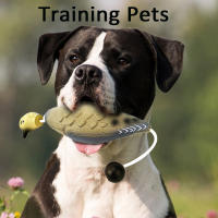 Juguete Para Perros Entrenamiento De Retiro De Pato Falso Juguetes De Masticación Y Juego De Caza Tamaño Simulado Pavo Real - details 1