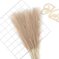 5/10Pcs Bouquet De Pampas Artificiales Flores De Reed Para Decoración De Hogar Jardín Boda Y Fiestas Internas Y Externas - details 19