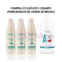 CasaSofia- Promocion Navidad. Comprando 3 Salerm 21 y llévate 1 champú de Salerm Pomegranate de 1200ml GRATIS.  Acondicionador de Pelo Instantáneo - Salerm 21 Silk Protein - 250 ml - sin Aclarado o con Aclarado - con Proteínas de Seda -Protector del Calor - details 0