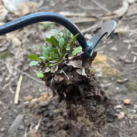 Aerador De Jardín De Acero Manganés Herramienta Manual Para Eliminar Malas Hierbas Y Raíces De Grama Multifuncional Para Suelo Arenoso - details 0