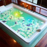 Luz Submersible Recargable RGB Para Piscina Con Control Remoto Impermeable Para Decoración De Bañera Fuente Luz LED De Batería Incluida Protección IP68 - details 11