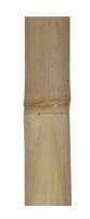 Gerimport Palo de Bambú Clasic Natural 7 x 120 cm - Decoración Elegante y Versátil para Interiores y Exteriores, Ideal para Arreglos Florales, Soportes de Plantas y Proyectos Creativos, Aporta Estilo y Calidez a Tu Hogar - details 1