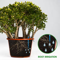 Kit De Riego Solar Con Modos De Tiempo Y Drip IP67 Impermeable Para Plantas Automáticas Dispositivos De Riego Solar Potenciados - details 2