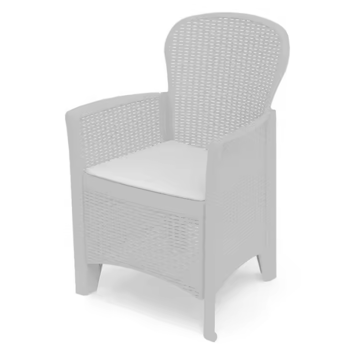 SILLON RESINA FOLIA BLANCO + COJIN - 1