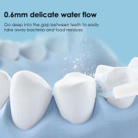 Fregadero Oral Portátil Irrigador De Agua Jeta Dental Herramientas De Limpieza De Dientes 230ML 4 Boquillas Máquina De Limpieza De Bocas - details 3