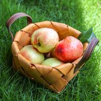 Cesta De Almacenamiento Para Escritorio Hecha De Bambú Tejida a Mano Cesta De Frutas Y Vegetales Con Mango Organizador Decorativo Para Rituales Y Costumbres - details 8