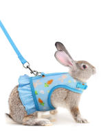 Harnés De Conejo Con Correa Ajustable Y Malla Transpirable Para Cachorro De Conejo Cochinilla Pequeño Animal De Peluche - details 9