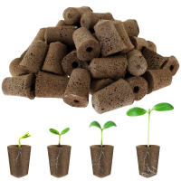 50/100Pcs Esponjas De Crecimiento De Semillas Reemplazo Para Raíces Esponjas De Cultivo Hidroponico Para Plantas Germinantes En Jardín - details 7