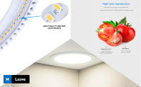 M Ledme - Pack 2, Downlight LED 220mm 20W, 2000 lúmenes, Panel Redondo Extraplano, Color Luz fría (6000k), Corte estándar 205 mm, Driver incluido, LM5551. - details 2