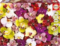Educa - Puzzle de 1000 Piezas  Collage de orquídeas. Incluye Pegamento Fix Puzzle. + 14 años Educa 19558 - details 0