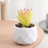 Evergreen Artificial Suculentas Simulación De Plantas Falsas Pequeñas En Macetas Cactus Bonsái Para El Hogar Material Plástico - details 2