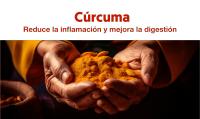 Cúrcuma con PROBIÓTICOS y PREBIÓTICOS | Muy Alta Concentración (>95%) | 10300 mg | Antiinflamatorio para Bienestar Articular, Muscular, Óseo y Digestivo | 125 días | Solo 1 cap/día | NUTRIBRAIN - details 1