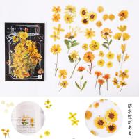 Set de 160 Pegatinas Decorativas Transparentes de Flores y Plantas – Stickers Creativos para Collage, Scrapbooking, Cuadernos, Botellas de Cristal y Manualidades – Sello de Copos con Gran Capacidad - details 3