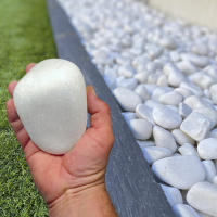 Piedras Decorativas Blanca Canto Rodado 40-60 mm 20 kg – Ideal para Jardines, Rocallas, Macetas Grandes y Paisajismo Exterior - details 0