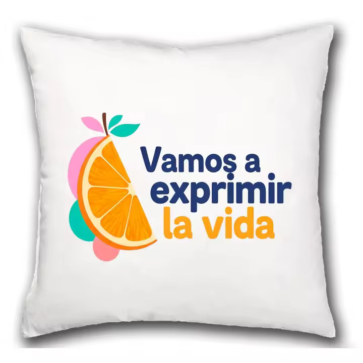 MERCHANDMANIA Cojín frase motivadora vida lucha esfuerzo ánimo hogar comodo cussion - 1