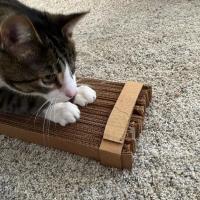 Cortador De Cartón Para Juguetes De Gatos 3D Impresión Dibujo Animado Herramienta Manual Para Rascadores De Gatos - details 1