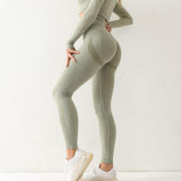 Leggings De Yoga Para Mujer Cintura Alta Sin Costuras Elasticidad Sólida Entrenamiento En El Gimnasio Pantalones De Correr Accesorios De Gimnasio - details 1