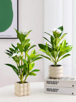 Plantas Artificiales De Azalea 21-40cm Falsas Hojas De Palma Tropicales Ficus Faux Con Flores Para Decoración De Hogar - details 1