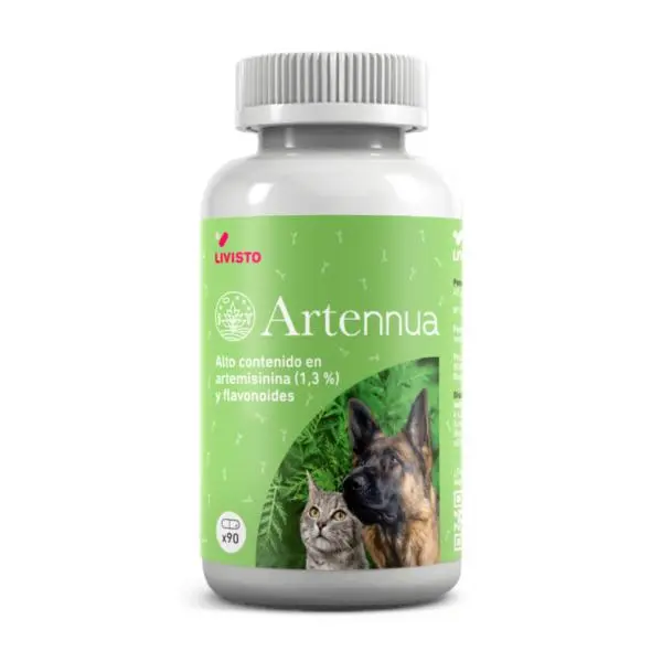 Artennua Artemisia Annua Sistema inmunológico (90 cáspulas) Apoyo contra la Leishmania - 1