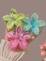 2-3pcs Clip Para El Cabello De Mujer Tamaño Grande Peso Ligero Con Patrón De Flores Y Colores Gradiente Accesorio De Moda Para El Aire Libre - details 0