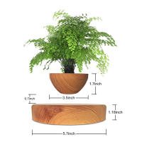 Maceta Flotante Magnética Levitación Para Plantas Sin Tierra Maceta De Rotación Para Decoración Del Hogar Con Diseño De Bonsái - details 11