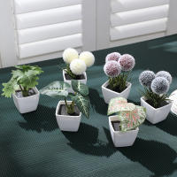 Juego De Macetas De Plástico Evergreen Para Decoración De Escritorio Y Oficina Estilo Suculentas Sin Mantenimiento Realista - details 35