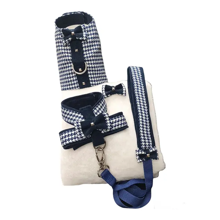 Set de paseo para perro pequeño, Gala Azul - 1