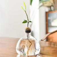 Vaso De Comino Para Cultivo De Semillas Kit De Plantación Con Pegatinas Regalo Para Amantes Del Jardín Material De Vidrio Transparente - details 5