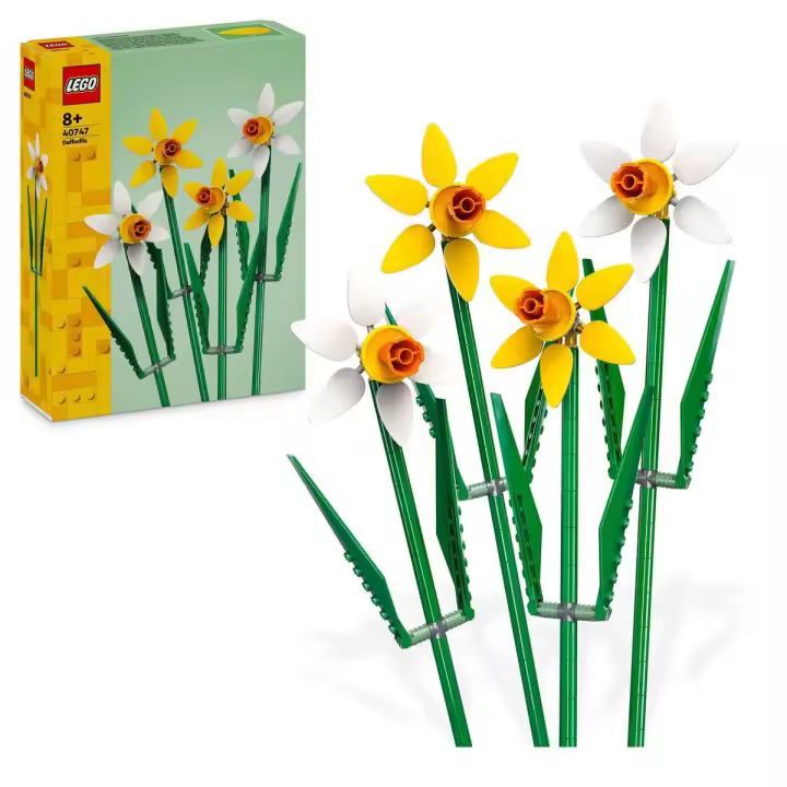 LEGO 40747 Narcisos Regalo de celebración - 1
