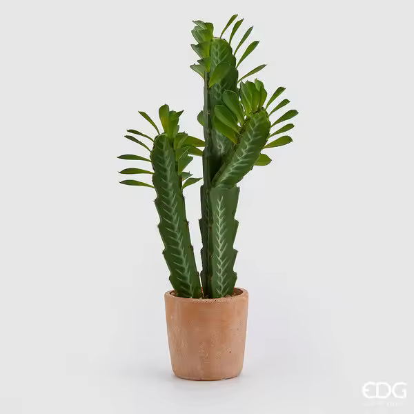 EDG Enzo De Gasperi Cactus Mix C/Vasocotto H60 (Succ) B9 Blanco Verde - 1