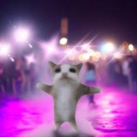 AKKUN Gato De Peluche Interactivo Con Sonido Juguete Para Niños Gato De Peluche Lindo Y Divertido Seguro Para Edades 3-12 Años Relleno De Algodón PP - details 2