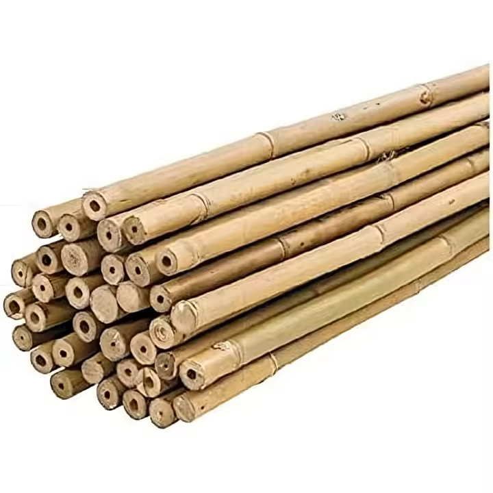 Plantawa Tutores de Bambú 25 Unidades (180cm), Tutores de Bambú Ø 6-8 mm, Uso Agrícola para Sujetar Plantas, Hortalizas y Árboles. - 1